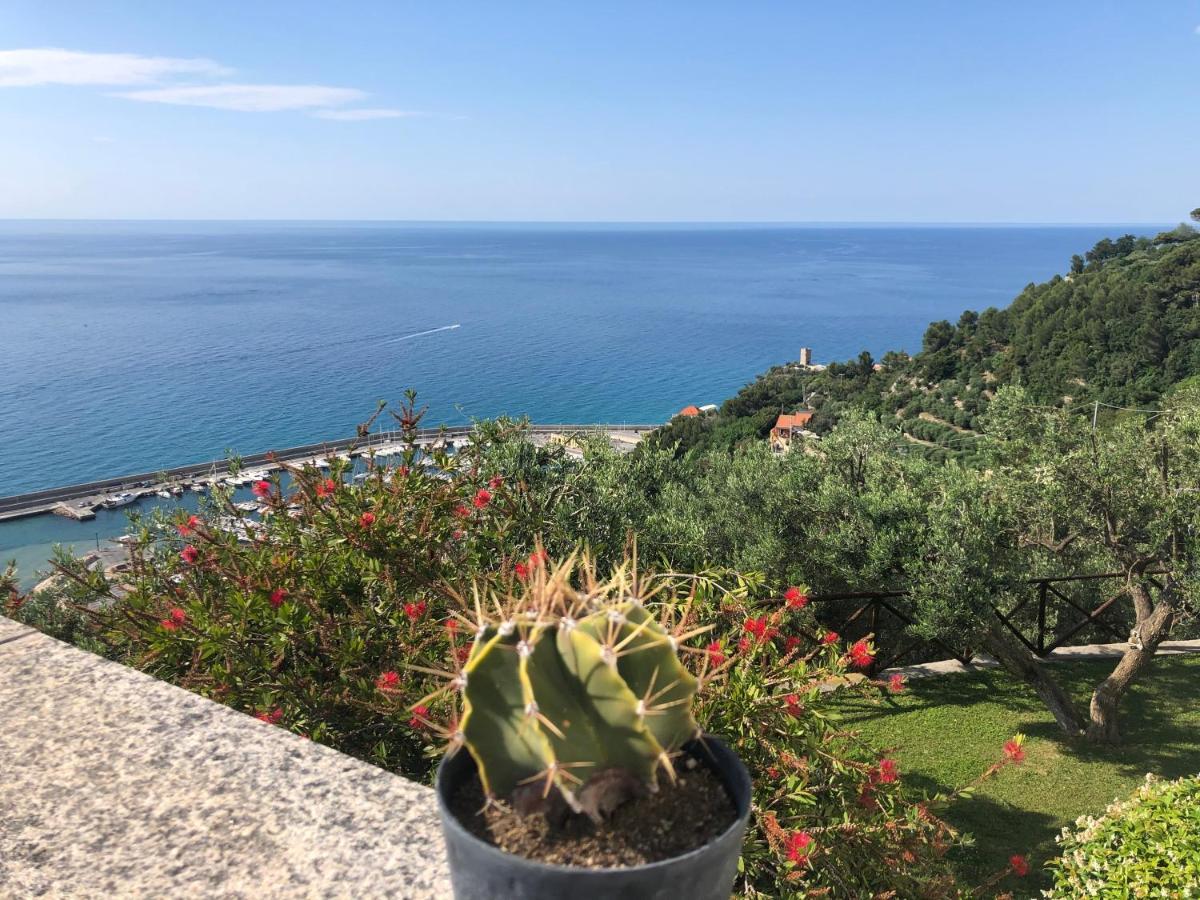 Villa Degli Ulivi B&B Finale Ligure Ngoại thất bức ảnh